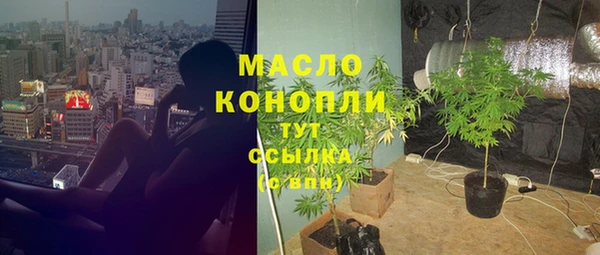 дживик Арсеньев